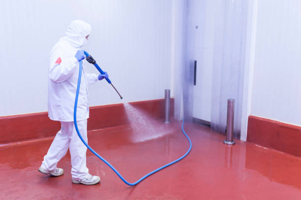 Best Boat and Dock Cleaning  in Washington, DC